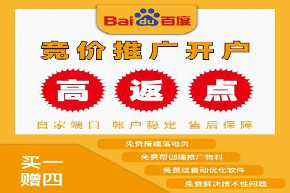 案例分析：百度推广优化，打造高效广告投放